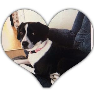 Meet your Posher, Paige